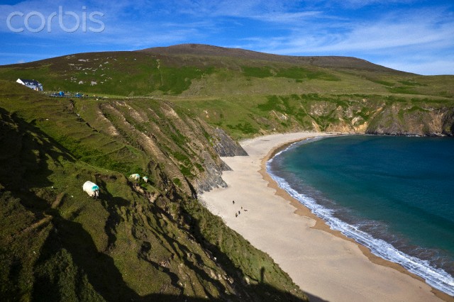 Ireland, Donegal County, near Glencolumbkille, Malin Beg, west side of the Slieve League cliffs, Silver Strand Beach and sheep